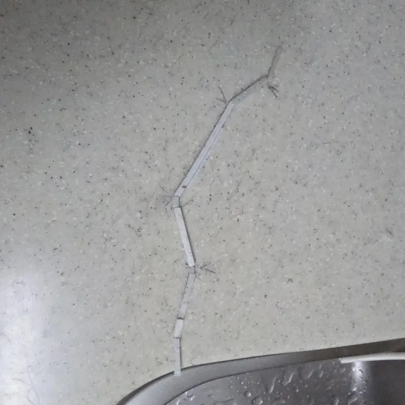 일산 주방대리석 상판크랙복원 갈라짐복구보수 고양시 시공 사진 2